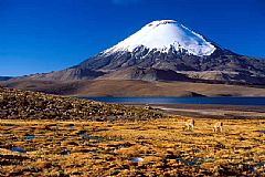 587-chungara-norte-de-chile.jpg